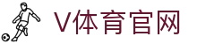 v体育（V SPORTS)官方网站 - 网页版登录入口